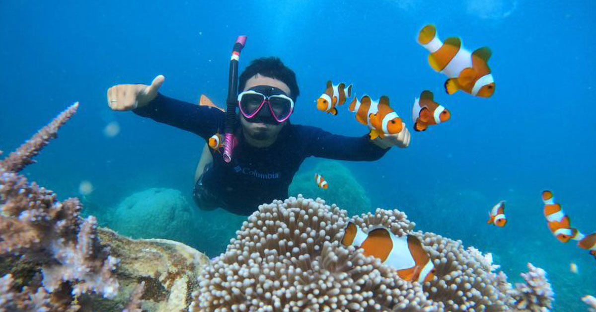 Perbedaan Snorkeling dan Diving: Panduan Lengkap untuk Pemula