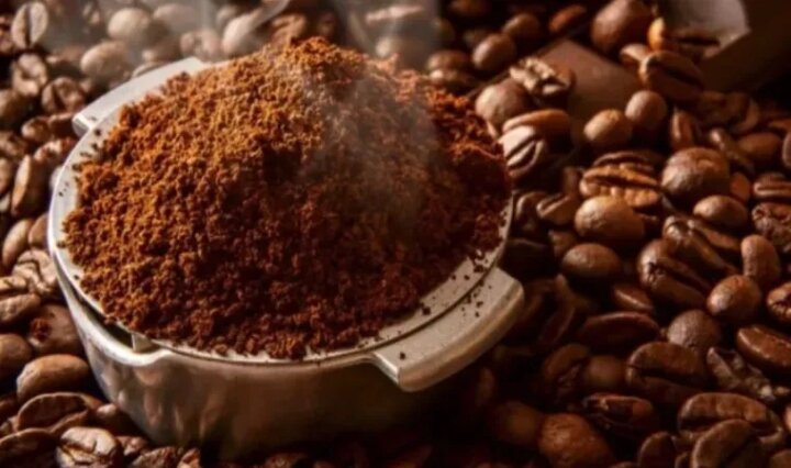 10 Kopi Robusta Terbaik: Pemilihan Varietas yang Pas untuk Anda