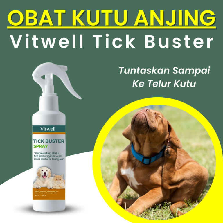 Obat Kutu Anjing Terbaik: Pilihan Terampuh untuk Kesehatan Hewan Peliharaan