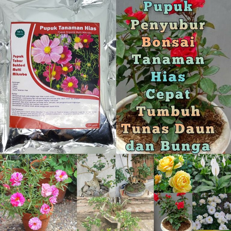 Pupuk Bonsai Terbaik: Pilihan Terbaik untuk Pertumbuhan Bonsai Anda