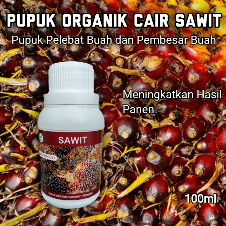 Pupuk Buah Terbaik: Review Produk dan Panduan Pemilihan