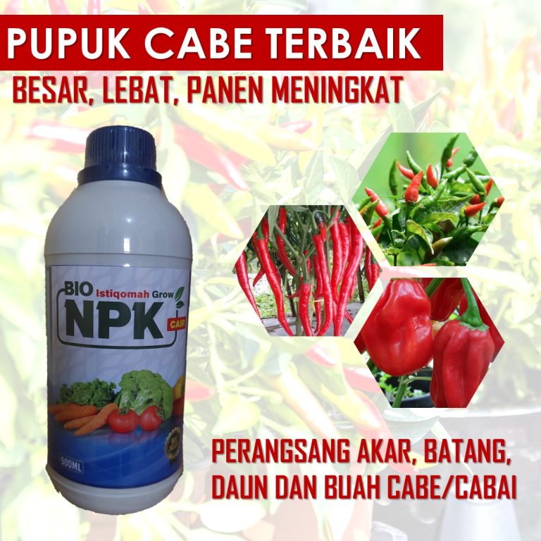 Pupuk Kalsium Terbaik untuk Cabe: Rekomendasi dan Panduan Pemilihan